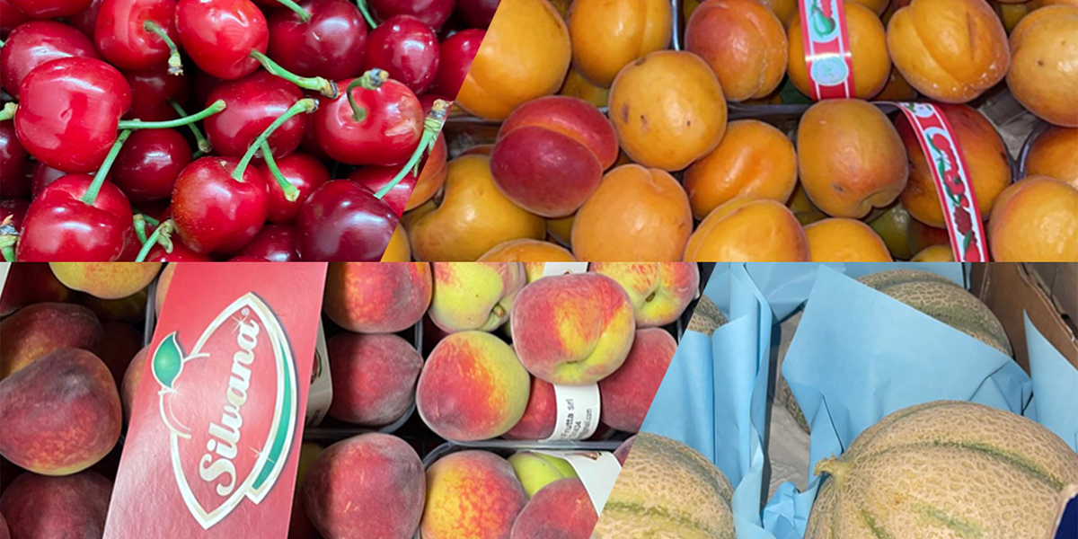 Frutta estiva a gonfie vele: drupacee e ciliegie protagoniste